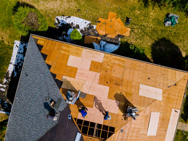 Quick and Trustworthy Emergency Roof Repair Services in Selma, TX
